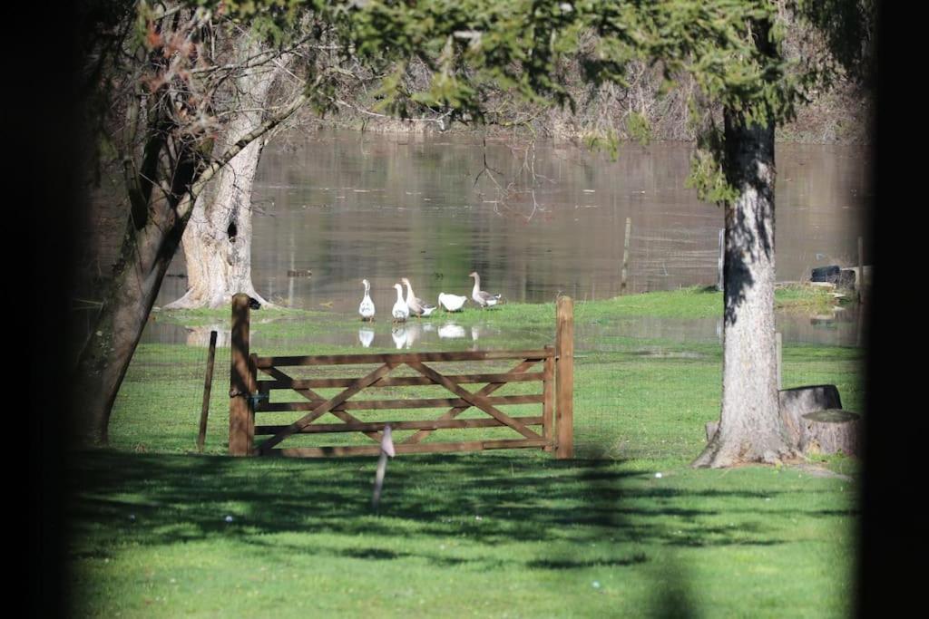 Le Ponton Des Sympetrums Aurec-Sur-Loire Ngoại thất bức ảnh