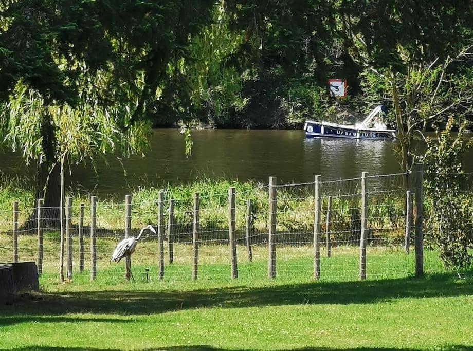 Le Ponton Des Sympetrums Aurec-Sur-Loire Ngoại thất bức ảnh
